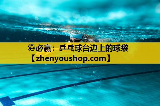 ⚽必赢:乒乓球台边上的球袋