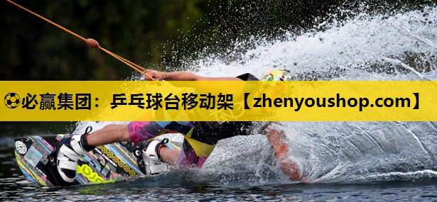乒乓球台移动架